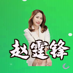 赵霆锋